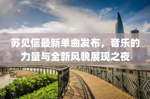 蘇見信最新單曲發(fā)布，音樂的力量與全新風貌展現(xiàn)之夜