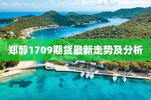 她似明媚 第16頁(yè)