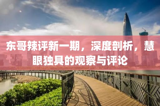 東哥辣評新一期，深度剖析，慧眼獨具的觀察與評論