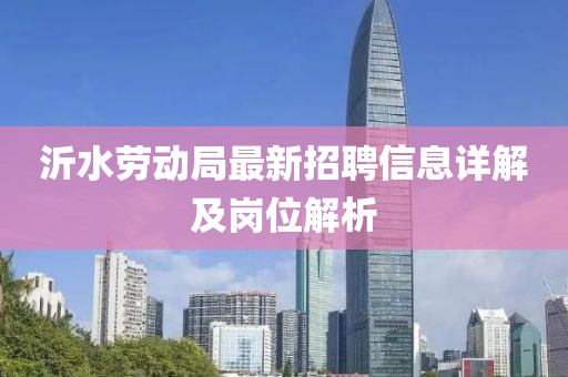 沂水勞動(dòng)局最新招聘信息詳解及崗位解析