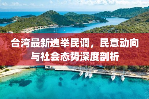 臺灣最新選舉民調(diào)，民意動向與社會態(tài)勢深度剖析