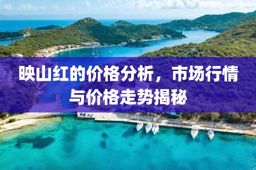 映山紅的價格分析，市場行情與價格走勢揭秘