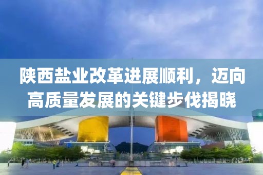 陜西鹽業(yè)改革進展順利，邁向高質(zhì)量發(fā)展的關鍵步伐揭曉