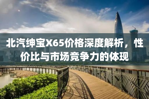 北汽紳寶X65價格深度解析，性價比與市場競爭力的體現(xiàn)