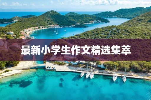 最新小學(xué)生作文精選集萃