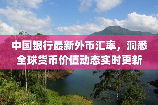 中國(guó)銀行最新外幣匯率，洞悉全球貨幣價(jià)值動(dòng)態(tài)實(shí)時(shí)更新