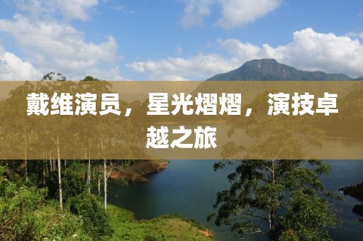 戴維演員，星光熠熠，演技卓越之旅