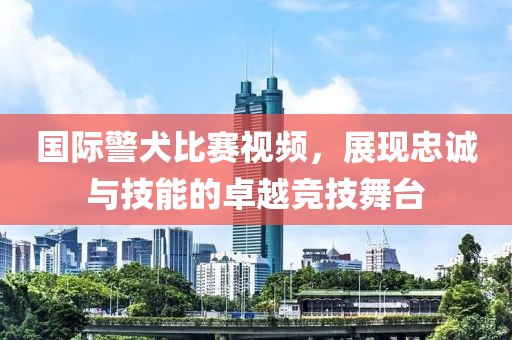 國(guó)際警犬比賽視頻，展現(xiàn)忠誠(chéng)與技能的卓越競(jìng)技舞臺(tái)