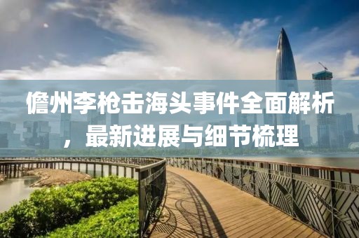 儋州李槍擊海頭事件全面解析，最新進(jìn)展與細(xì)節(jié)梳理