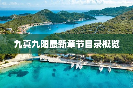 九真九陽最新章節(jié)目錄概覽