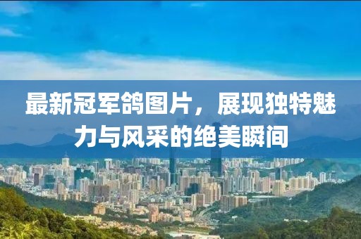 最新冠軍鴿圖片，展現(xiàn)獨特魅力與風(fēng)采的絕美瞬間