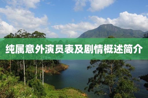 純屬意外演員表及劇情概述簡(jiǎn)介