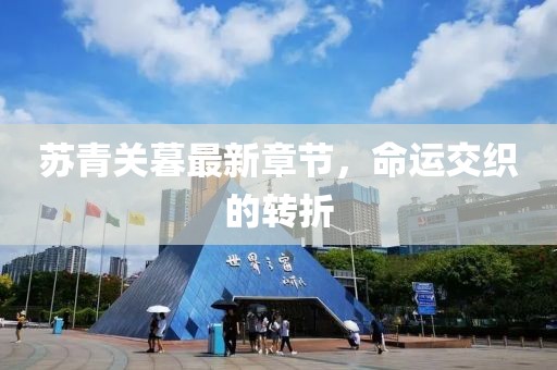 蘇青關(guān)暮最新章節(jié)，命運交織的轉(zhuǎn)折