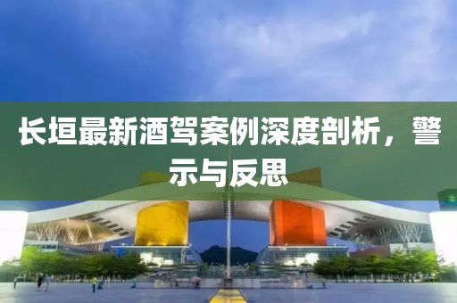 長垣最新酒駕案例深度剖析，警示與反思