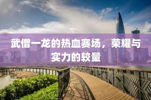 武僧一龍的熱血賽場(chǎng)，榮耀與實(shí)力的較量
