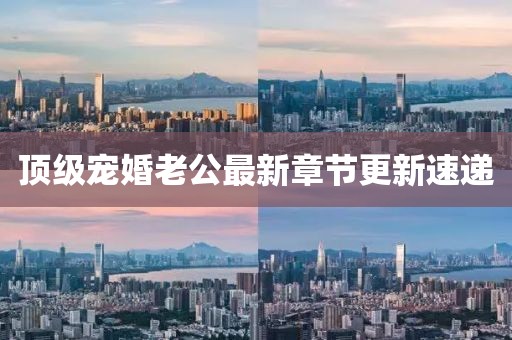 頂級寵婚老公最新章節(jié)更新速遞