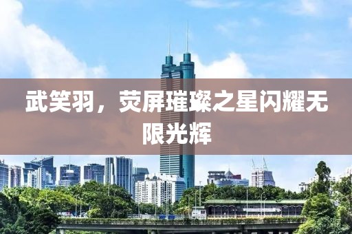 武笑羽，熒屏璀璨之星閃耀無限光輝