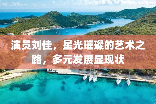 演員劉佳，星光璀璨的藝術(shù)之路，多元發(fā)展顯現(xiàn)狀