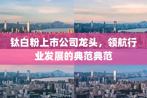 鈦白粉上市公司龍頭，領(lǐng)航行業(yè)發(fā)展的典范典范