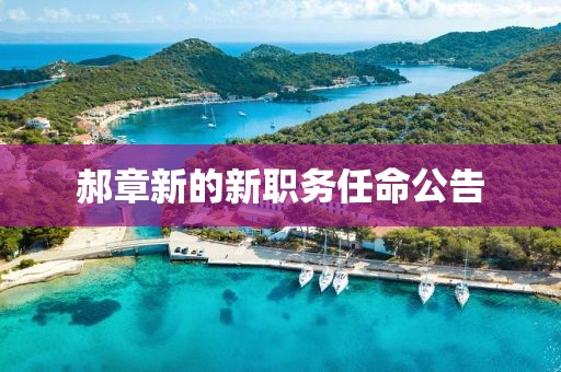 郝章新的新職務(wù)任命公告