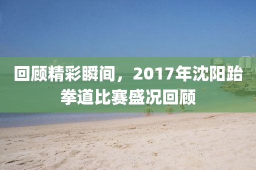 回顧精彩瞬間，2017年沈陽跆拳道比賽盛況回顧
