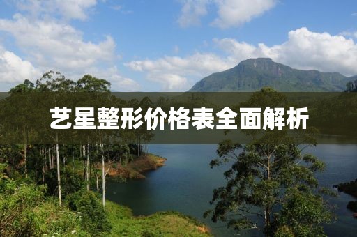 藝星整形價格表全面解析