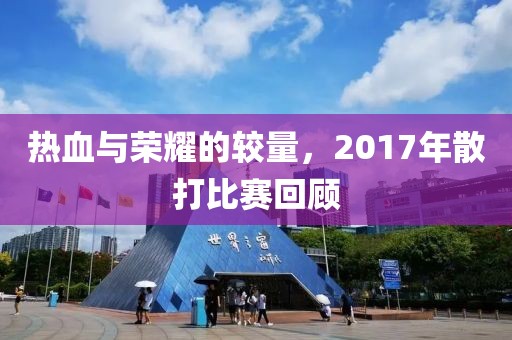 熱血與榮耀的較量，2017年散打比賽回顧