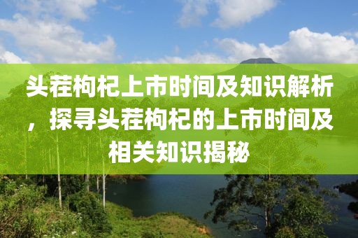 頭茬枸杞上市時(shí)間及知識解析，探尋頭茬枸杞的上市時(shí)間及相關(guān)知識揭秘