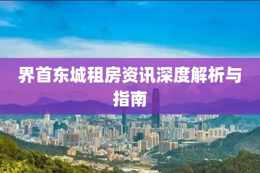 界首東城租房資訊深度解析與指南