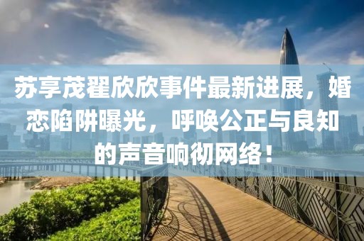 蘇享茂翟欣欣事件最新進(jìn)展，婚戀陷阱曝光，呼喚公正與良知的聲音響徹網(wǎng)絡(luò)！