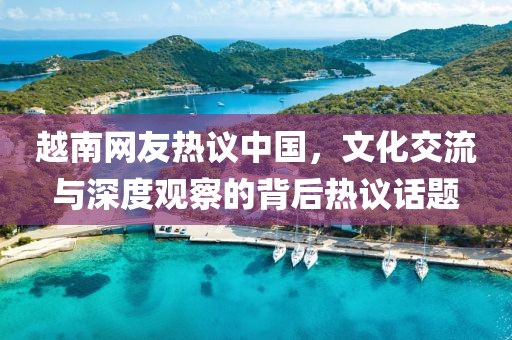 越南網(wǎng)友熱議中國，文化交流與深度觀察的背后熱議話題