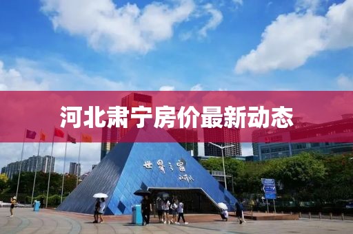 河北肅寧房價最新動態(tài)
