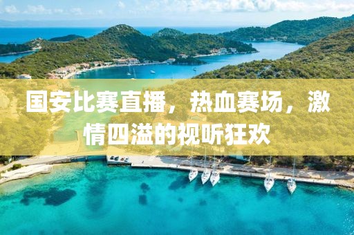 國(guó)安比賽直播，熱血賽場(chǎng)，激情四溢的視聽狂歡