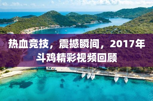 笙歌白云上 第11頁