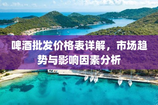 啤酒批發(fā)價格表詳解，市場趨勢與影響因素分析
