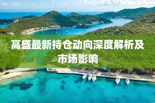 高盛最新持倉(cāng)動(dòng)向深度解析及市場(chǎng)影響