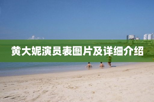 黃大妮演員表圖片及詳細(xì)介紹