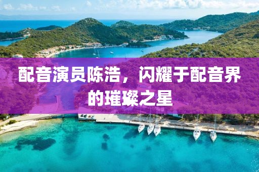 配音演員陳浩，閃耀于配音界的璀璨之星