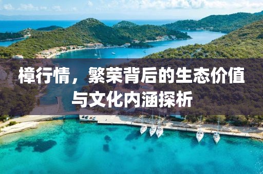 樟行情，繁榮背后的生態(tài)價值與文化內(nèi)涵探析