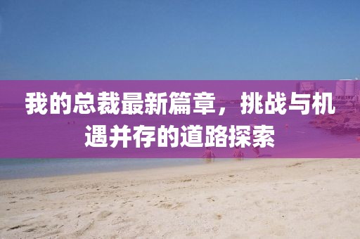我的總裁最新篇章，挑戰(zhàn)與機(jī)遇并存的道路探索