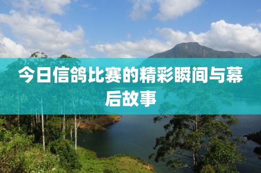 今日信鴿比賽的精彩瞬間與幕后故事