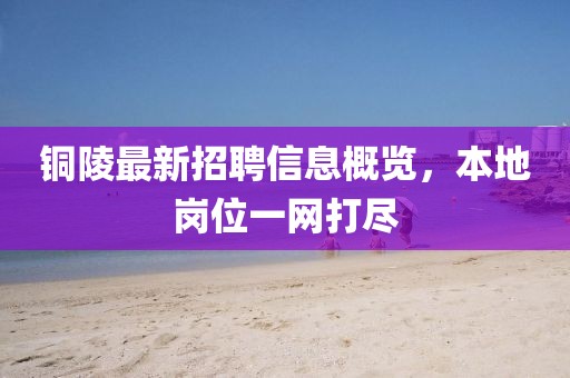 銅陵最新招聘信息概覽，本地崗位一網(wǎng)打盡