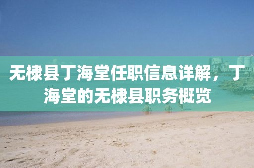 無棣縣丁海堂任職信息詳解，丁海堂的無棣縣職務概覽