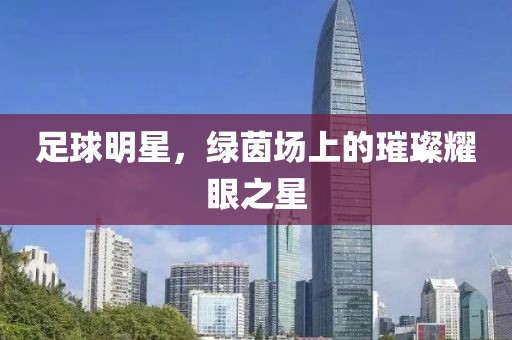 足球明星，綠茵場上的璀璨耀眼之星