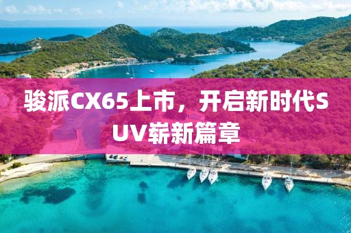 駿派CX65上市，開啟新時(shí)代SUV嶄新篇章