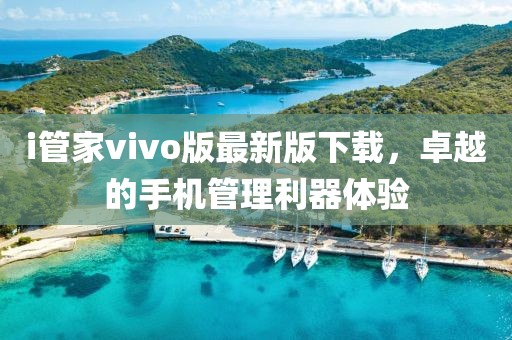 i管家vivo版最新版下載，卓越的手機(jī)管理利器體驗