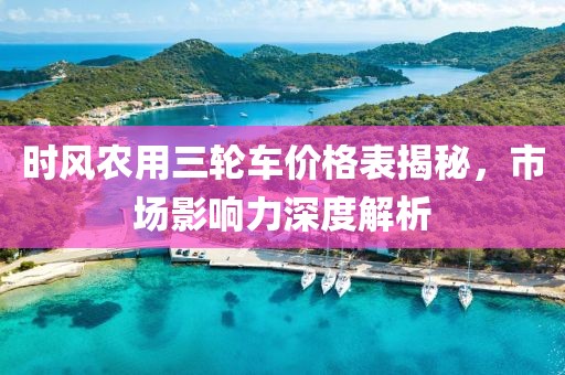 時風(fēng)農(nóng)用三輪車價格表揭秘，市場影響力深度解析