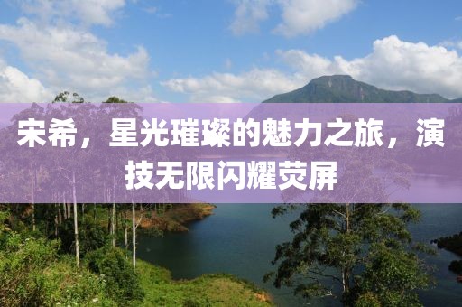 宋希，星光璀璨的魅力之旅，演技無限閃耀熒屏