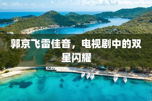 郭京飛雷佳音，電視劇中的雙星閃耀