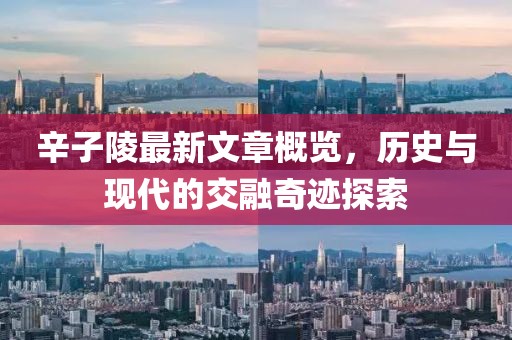 辛子陵最新文章概覽，歷史與現(xiàn)代的交融奇跡探索